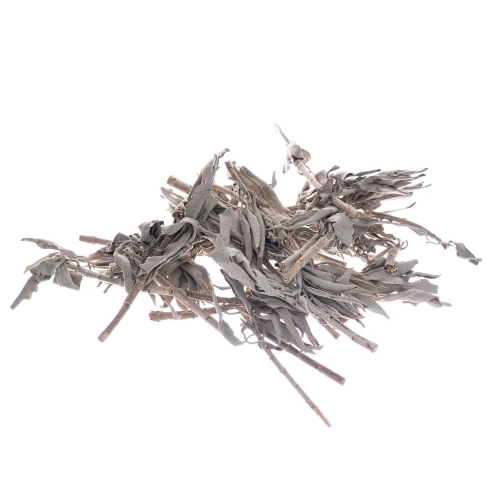 Bilovit Sage White, Leaves - 100 g