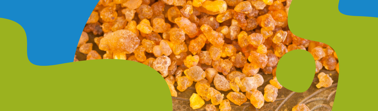 Frankincense Essential Oil: Benefits, Uses & Properties
