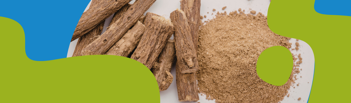 Sandalwood Essential Oil: Benefits, Uses & Blending