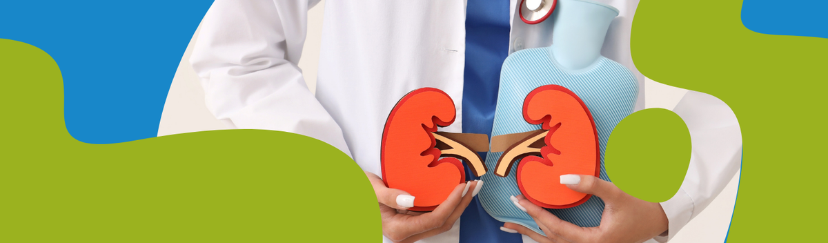Kidney Health: Diet, Habits & Natural Support Guide