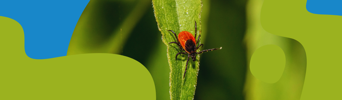 Tick Protection – Sprays, Ultrasonic & More