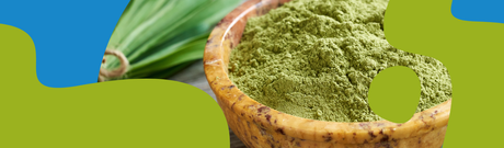 Young Barley Grass: Benefits, Uses & Nutrition Guide