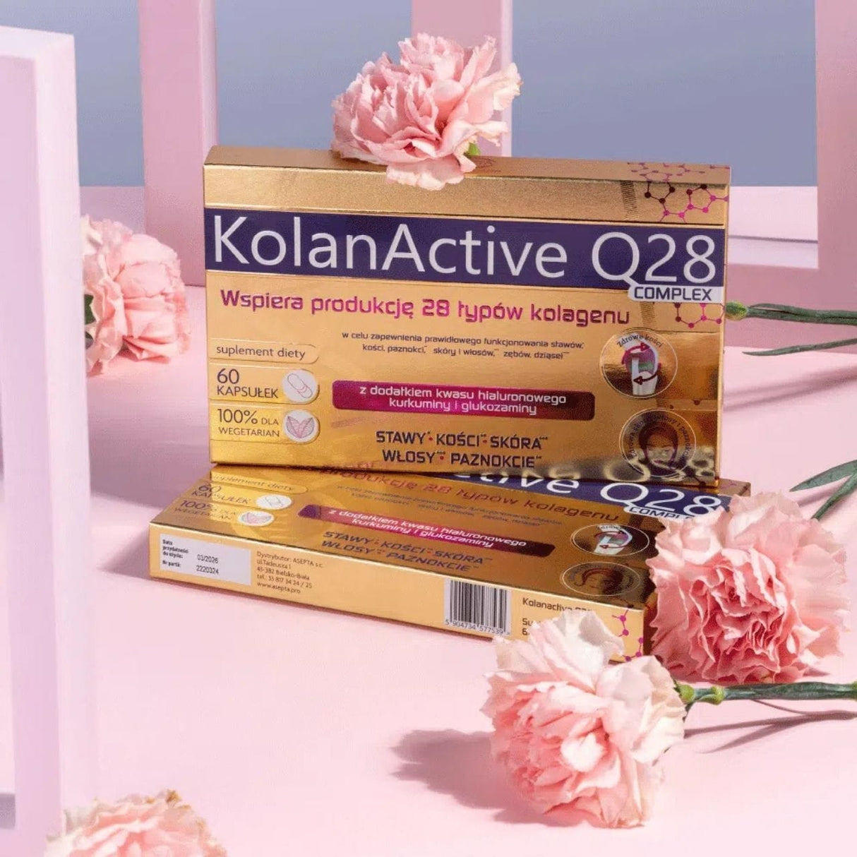 Asepta Kolanactive Q28 - 60 Capsules