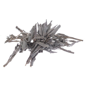 Bilovit Sage White, Leaves - 50 g